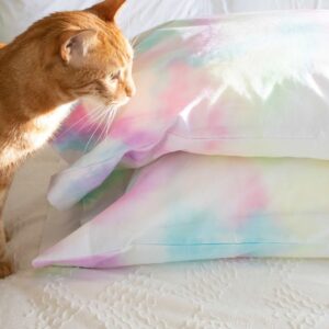 DIY This! Watercolor Pillowcases that Match your Decor Pillow covers